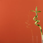 1089115-lacobel-copper-metal-samir-martinique 1089115-lacobel-copper-metal-samir-martinique